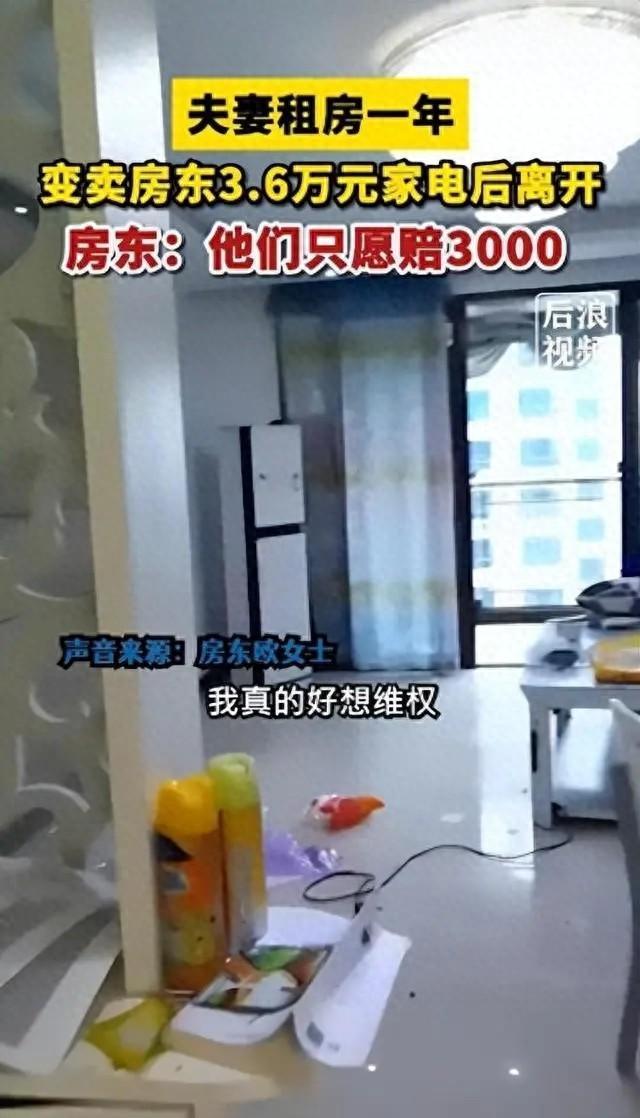 能卖的都卖了！夫妻变卖房东3.6万家电只愿赔三千 房东奶奶被气到住院