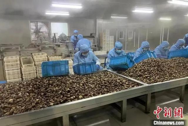 西餐三大顶级食材价格已被国货打下来，开始走&ldquo;本土化&rdquo;路线了！