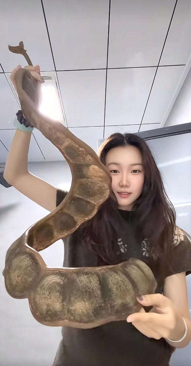 女子带1米长巨大豆荚坐飞机引围观