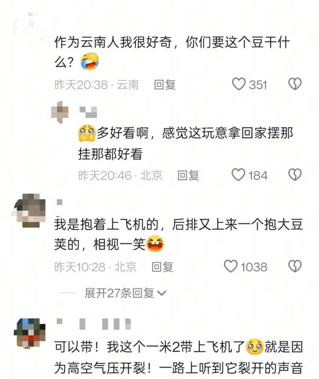 女子带1米长巨大豆荚坐飞机引围观 网络热议梦中情豆